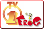 Valdarno Volley - TV1 e FROG